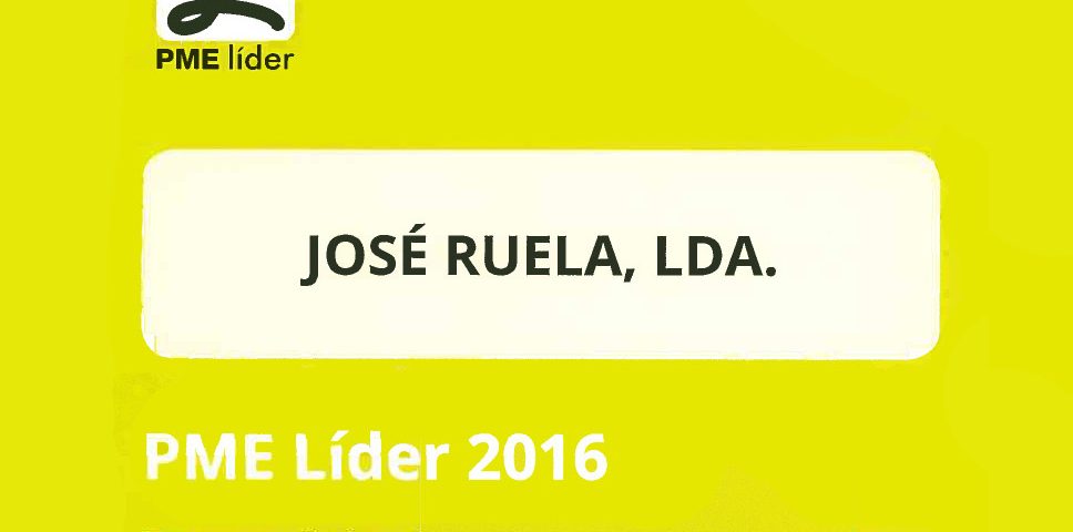ruela-pme-lider-2016